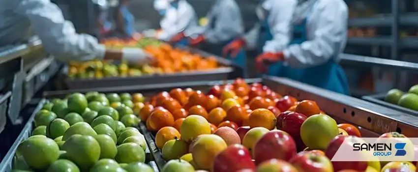 پروتکلCIP در صنایع غذایی چیست؟