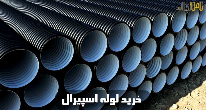 image1651727217espiral